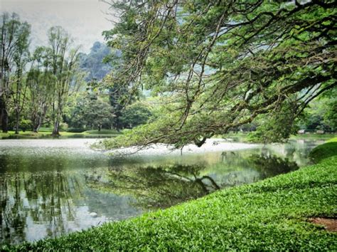One day at school, youta sees someone strange entering his school. Taman Tasik Taiping in Taiping, Perak by Mohammad Khairul ...