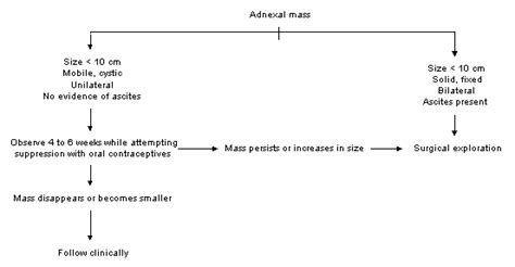 Diagnosis And Management Of The Adnexal Mass AAFP