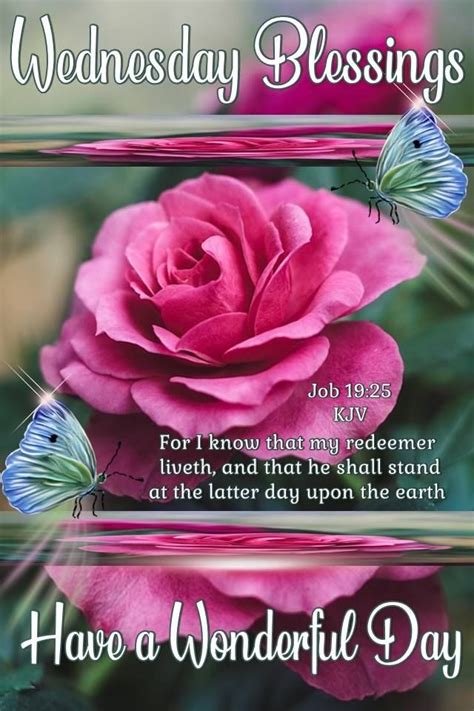 Get the latest & best wednesday quotes, funny wednesday quotes, happy wednesday quotes & pictures. Beautiful Blessings On Wednesday Pictures, Photos, and ...