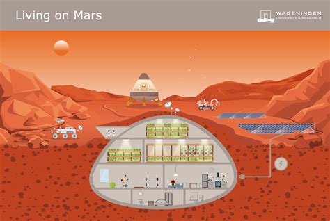 Qanda With Wieger Wamelink Mars And Moon Soil Researcher Wur