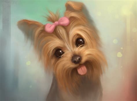 Cute Yorkie Puppies Wallpaper