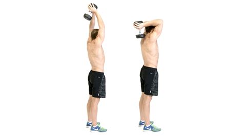 Dumbbell French Press Exercise Seated Standing And Lying