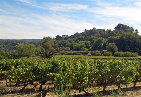 Vineyard In Provence France Free Photo Download Freeimages