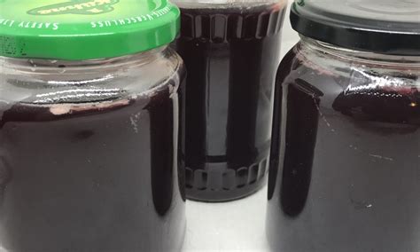 We did not find results for: Holunder-Apfel-Gelee - Achims Garten zum Essen | Holunder ...