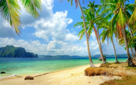Wallpaper Tropical Coast Beach Coast Sea Blue Palm Trees Clouds