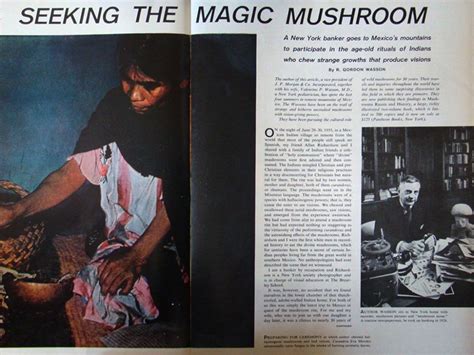 Magic Mushroom Atau Jamur Halusinasi Kenali 7 Fakta Sejarah Uniknya