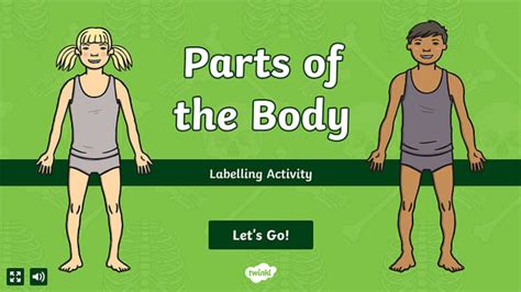 Parts Of The Body Interactive Labelling Activity Twinkl