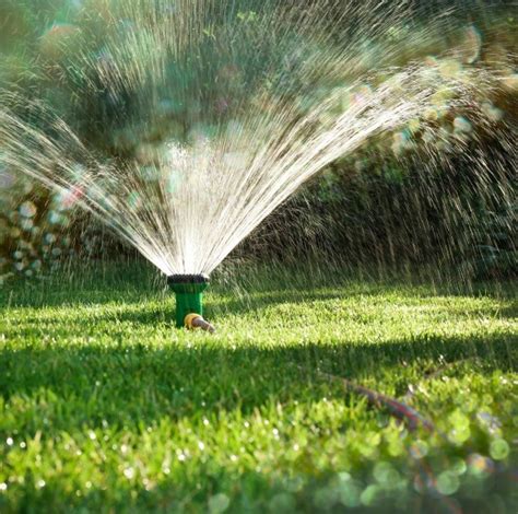 In hot and dry weather, a lawn may be best served with more frequent waterings. Tips for Watering Your Lawn | ThriftyFun