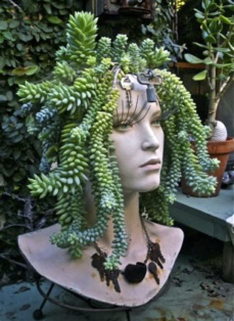 Creative Indoor And Outdoor Succulent Garden Ideas 2022