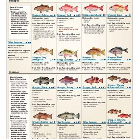 Saltwater Recreational Fishing Regulations Fwc