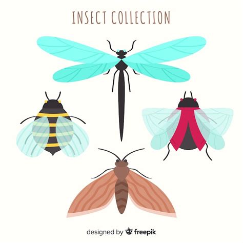 Pack Insectos Coloridos Dibujados A Mano Vector Gratis