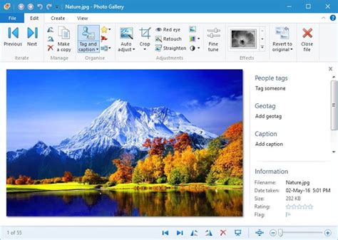 Windows Live Photo Gallery для Windows 10