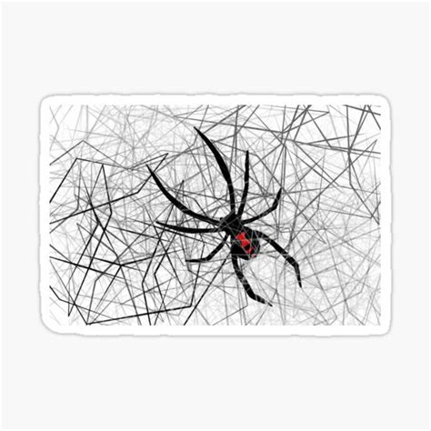 Black Widow Spider Web Sticker By Katiejones53 Redbubble