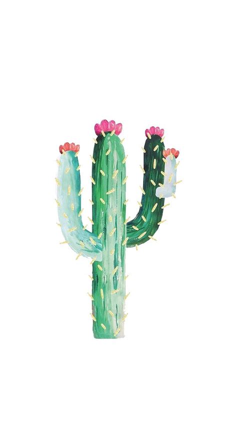 🔥 Download Cactus Wallpaper From My Jewellery Phone Background By