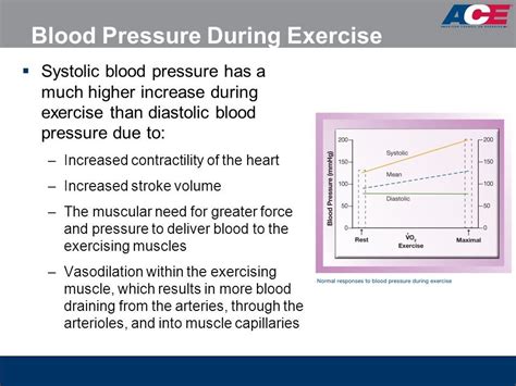Decrease In Blood Pressure During Exercise Exercise Poster