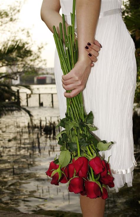 Young Woman With Red Roses Near The River Stock Photo Image Of Bloom