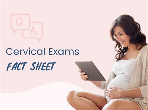 Cervical Exams In Pregnancy And Labor Fact Sheet Sterling Parents