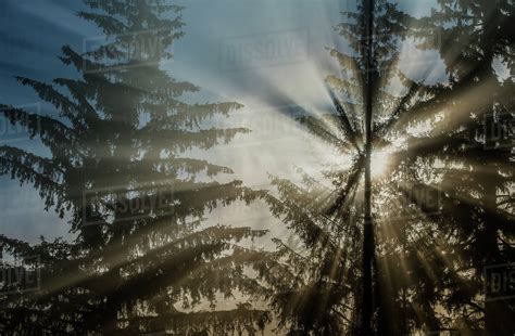Sun Rays Break Through Fog And Mist Over The Tongass National Forest
