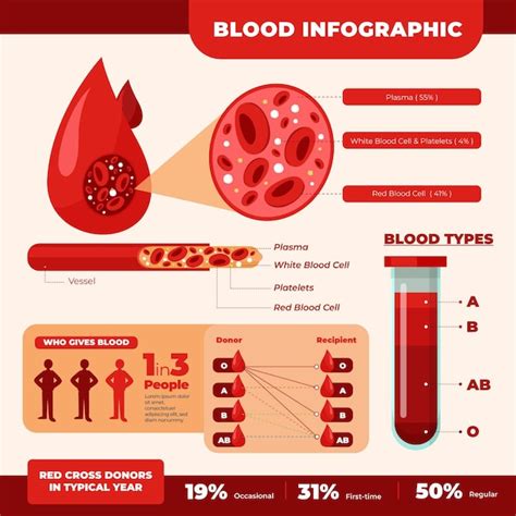 Premium Vector Flat Design Blood Infographic