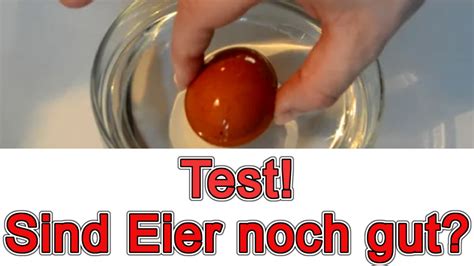 test gekochte eier noch gut napsahaland