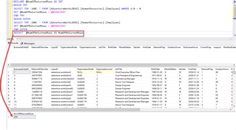 Working With Sql Server Rowcount
