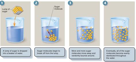 The Dissolving Of Sugar In Water Is A Physical Change