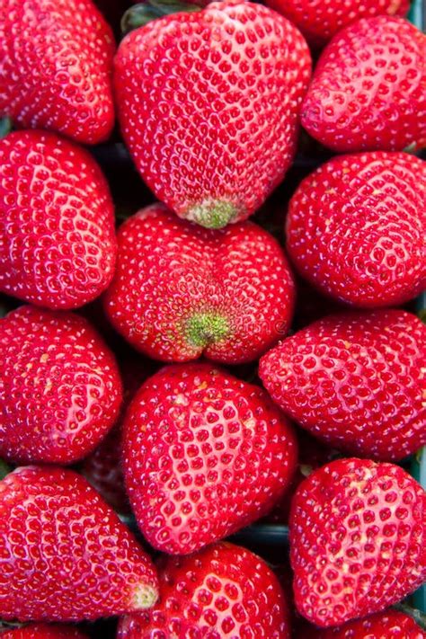 Close Up Of Fresh Ripe Strawberries Stock Photo Image Of Ripe Green