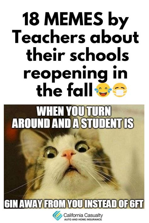 Memes From Teachers About Schools Reopening Back To School Quotes