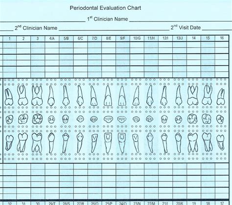 Perio Chart Printable