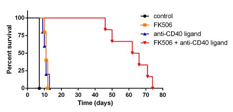Short Term Combination Treatment Of Fk506 And Anti Cd40 Ligand