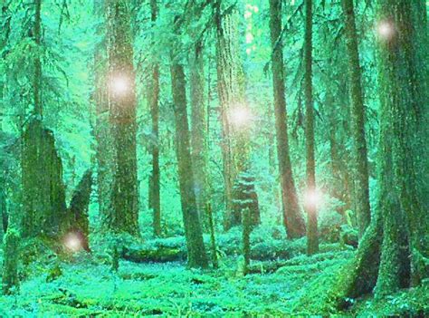 Leipreachán The Irish Fairy World Irish Fairy Forest Fairy Fairy