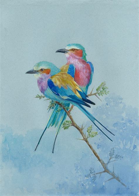 Love Birds Art Prints And Original Watercolor Lilac Breasted Etsy In