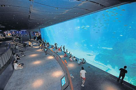 Marine Life Park Opens In Singapore With The Worlds