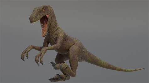 3d Model Velociraptor Vr Ar Low Poly Rigged Animated Cgtrader