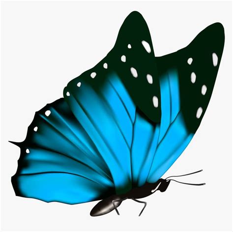Transparent Blue Butterfly Clipart Blue Butterfly Transparent