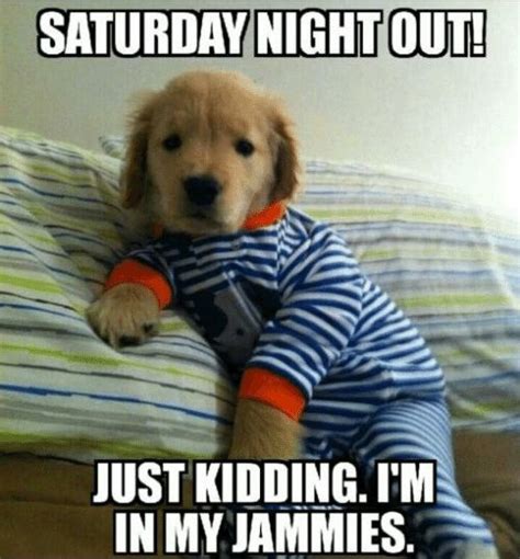 90 Funny Saturday Memes Images And Pics For A Happy Weekend Cute Puppies