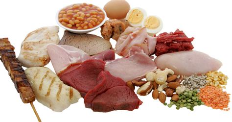 Check spelling or type a new query. 5 Makanan dengan Protein Tinggi dan Rendah Lemak | DR OZ ...