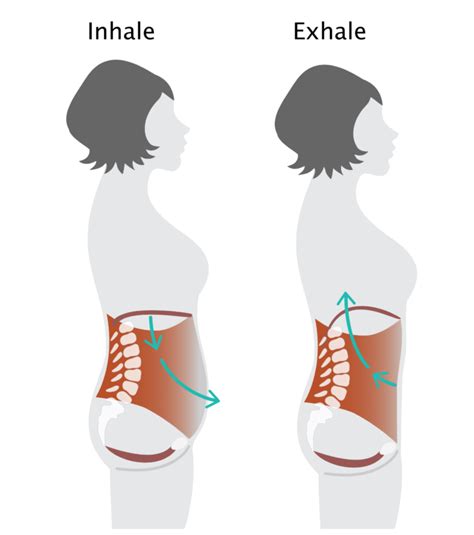 Dual Roles Of Your Diaphragm And Why They Are Essential In Your Yoga