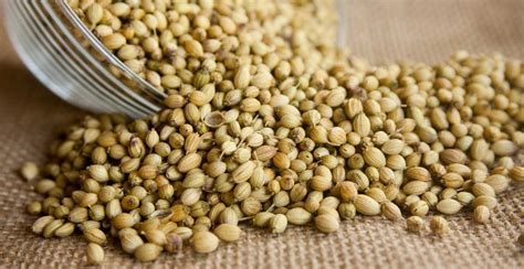 Jual minuman murah dan terlengkap. Minuman Herbal Ketumbar / 11 Manfaat Ketumbar Untuk ...