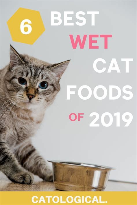 What is the best wet cat food for your cat? Is you favorite feline friend a big fan of wet cat food ...