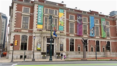 Philly’s Academy Of Natural Sciences Gets 3 Million Upgrade Includes Dietrich Gallery As First