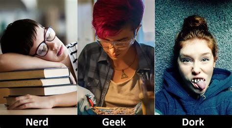 Difference Between Nerd Geek And Dork Difference Camp