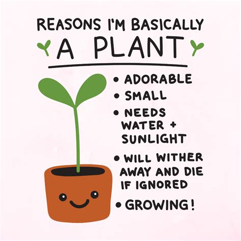 Reasons Im Basically A Plant T Shirts Lookhuman In 2021 Plant