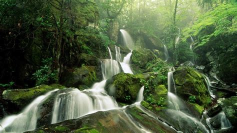 Waterfalls In Greenery Wallpaper Hd Wallpapers