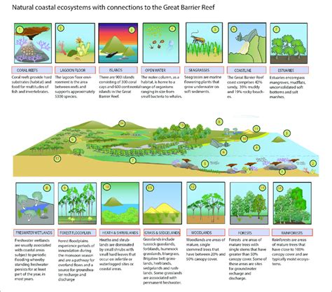 The Range Of Different Coastal Floodplain Wetland Habitats Within The
