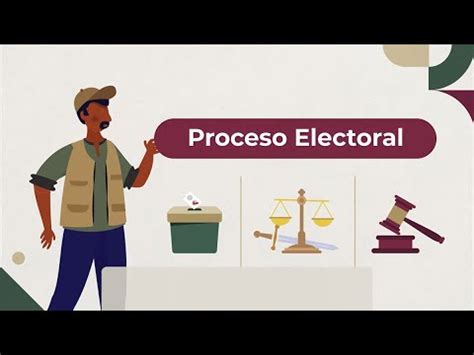 Qué es el proceso electoral y qué instituciones participan