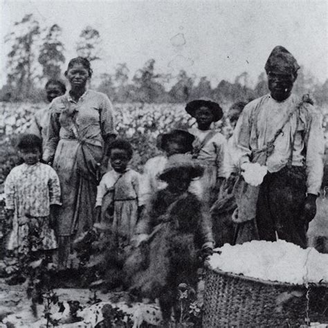 How America Was Built On Slavery Those Roots Can Still Be Felt Today
