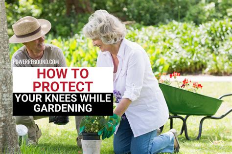 How To Protect Your Knees While Gardening And Powerrebound