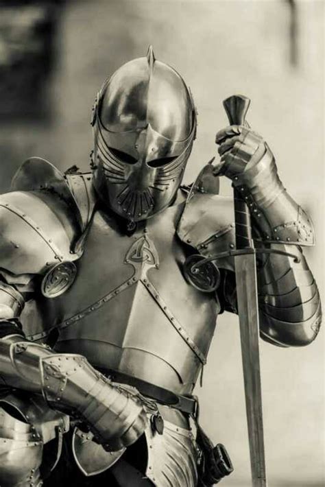 brotherhood of veterans medieval armor knight armor knight in shining armor