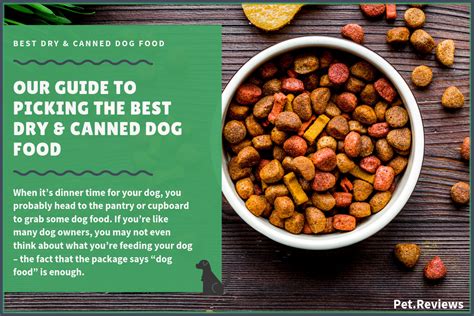 Real chicken is the first ingredient. 10 Best Dog Food Brands (Dry & Canned): 2021 Dog Food Reviews